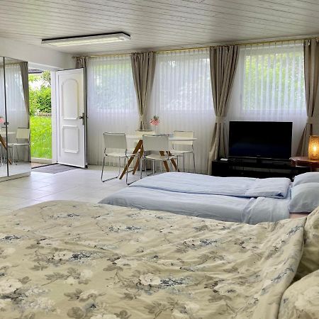 Studio In Stadtnaehe Zuerich Mit Guter Verkehrsanbindung Adliswil Екстериор снимка
