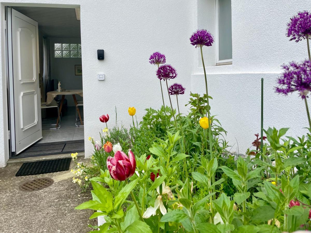 Studio In Stadtnaehe Zuerich Mit Guter Verkehrsanbindung Adliswil Екстериор снимка