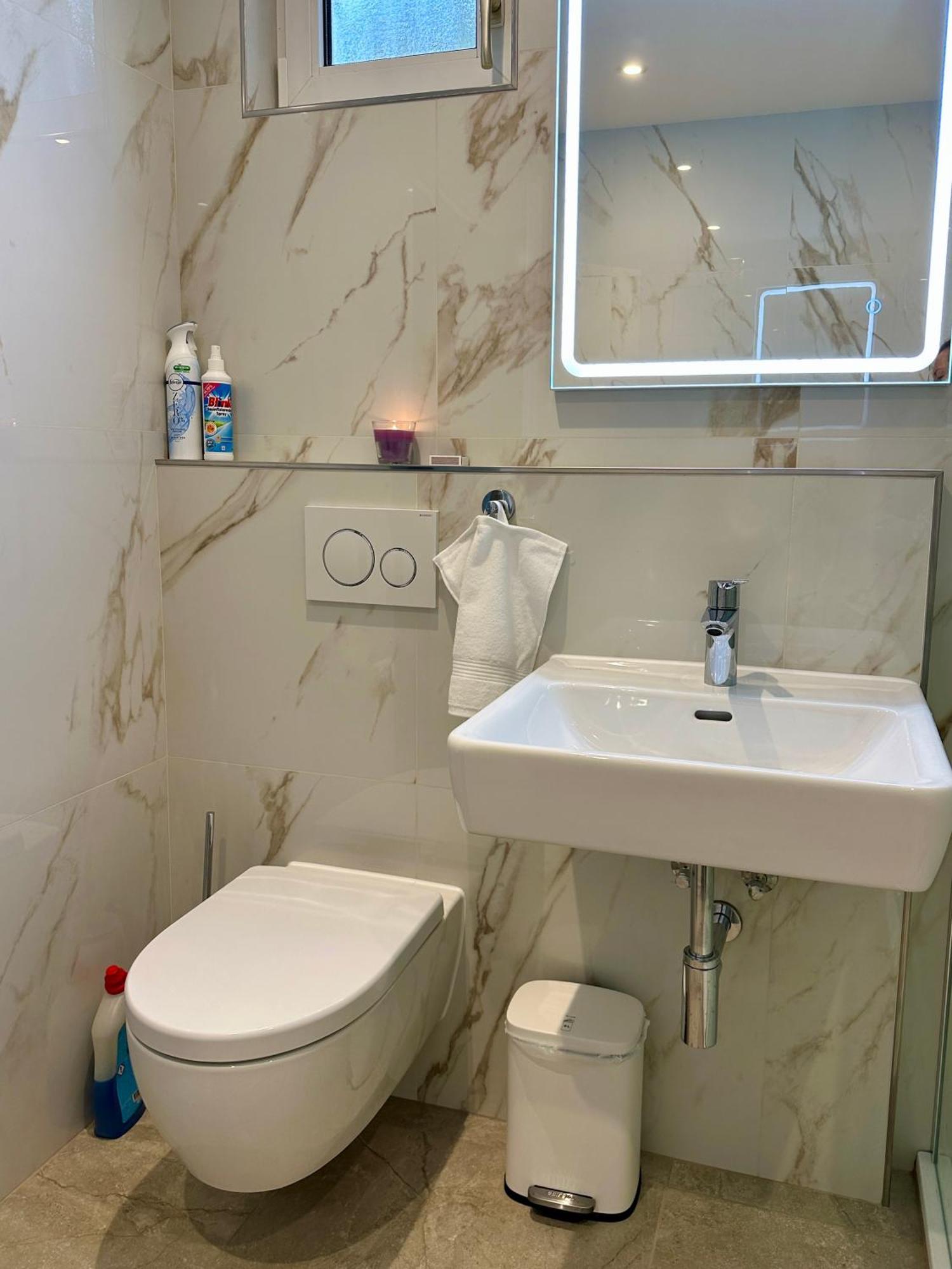 Studio In Stadtnaehe Zuerich Mit Guter Verkehrsanbindung Adliswil Екстериор снимка