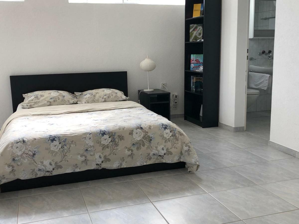 Studio In Stadtnaehe Zuerich Mit Guter Verkehrsanbindung Adliswil Екстериор снимка